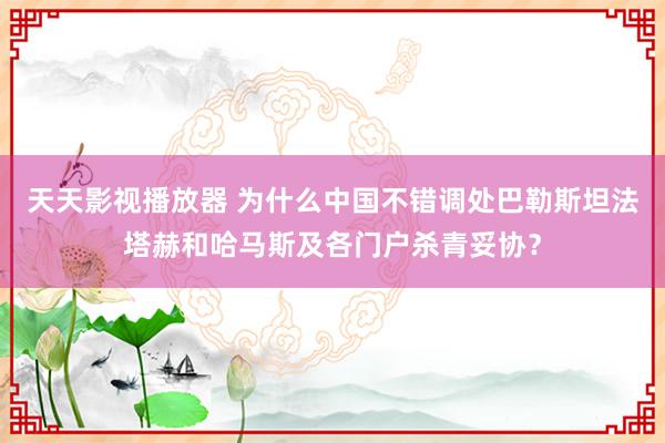 天天影视播放器 为什么中国不错调处巴勒斯坦法塔赫和哈马斯及各门户杀青妥协？