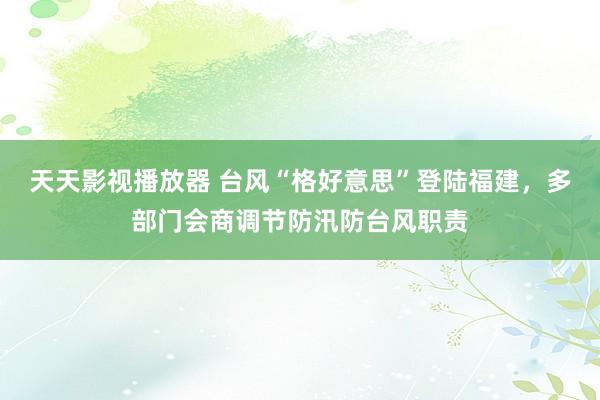 天天影视播放器 台风“格好意思”登陆福建，多部门会商调节防汛防台风职责