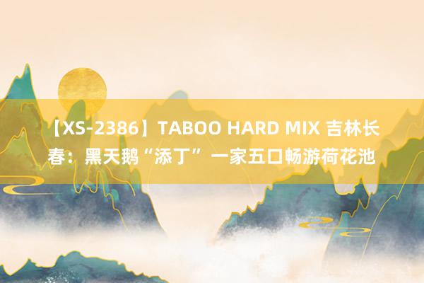 【XS-2386】TABOO HARD MIX 吉林长春：黑天鹅“添丁” 一家五口畅游荷花池