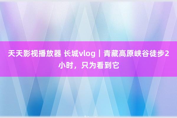 天天影视播放器 长城vlog｜青藏高原峡谷徒步2小时，只为看到它