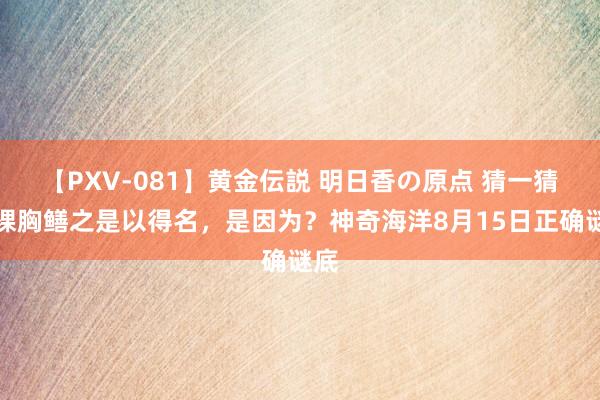 【PXV-081】黄金伝説 明日香の原点 猜一猜：裸胸鳝之是以得名，是因为？神奇海洋8月15日正确谜底