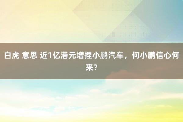 白虎 意思 近1亿港元增捏小鹏汽车，何小鹏信心何来？