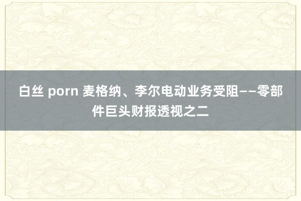 白丝 porn 麦格纳、李尔电动业务受阻——零部件巨头财报透视之二