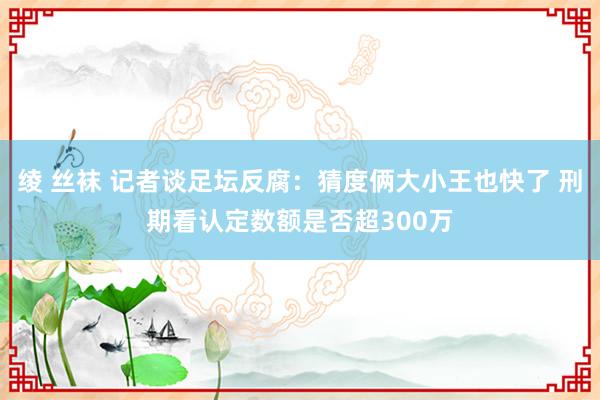 绫 丝袜 记者谈足坛反腐：猜度俩大小王也快了 刑期看认定数额是否超300万