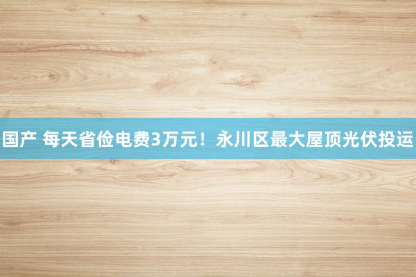 国产 每天省俭电费3万元！永川区最大屋顶光伏投运