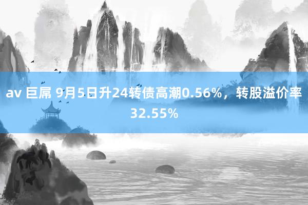 av 巨屌 9月5日升24转债高潮0.56%，转股溢价率32.55%