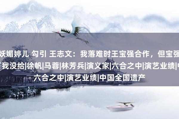 妖媚婷儿 勾引 王志文：我落难时王宝强合作，但宝强落难借300万我没给|徐帆|马蓉|林芳兵|演义家|六合之中|演艺业绩|中国全国遗产